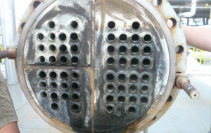 LY系列預(yù)膜劑